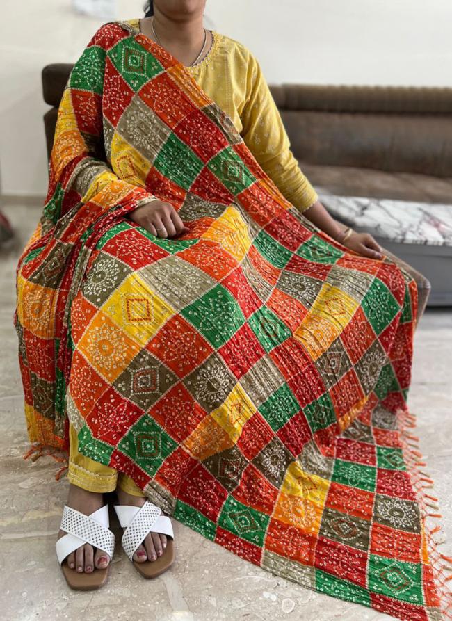 Chinnon Multi Colour Casual Wear Printed Dupatta